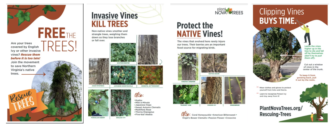 Free The Trees Poster