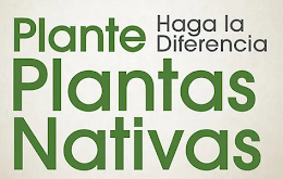 Spanish Native Plants